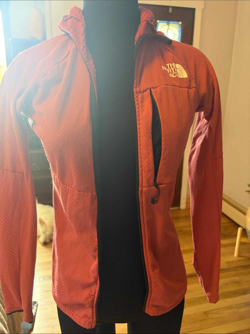 The North Face Women's Brick Red Hooded Ski Jacket
